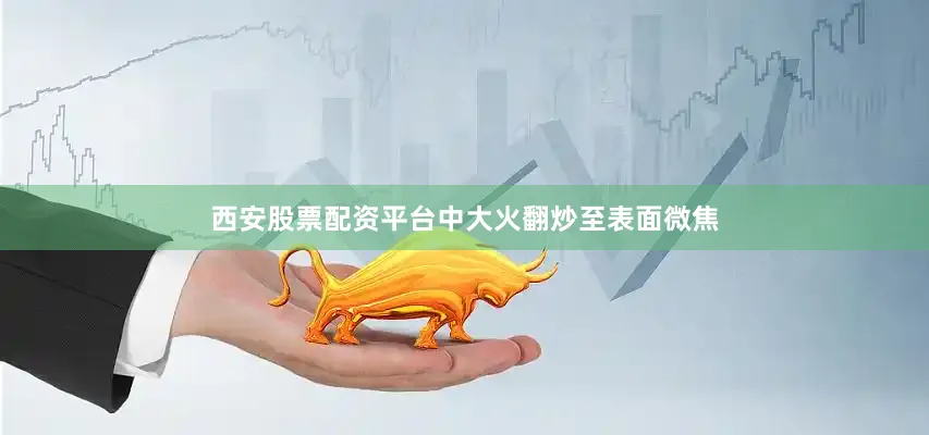 西安股票配资平台中大火翻炒至表面微焦