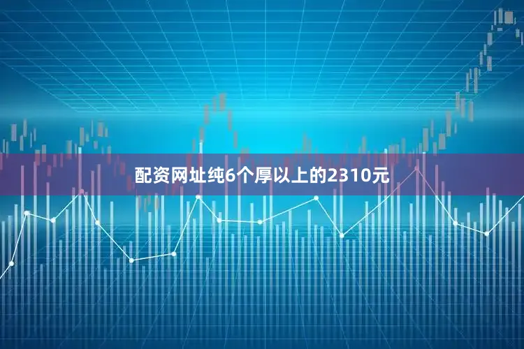 配资网址纯6个厚以上的2310元